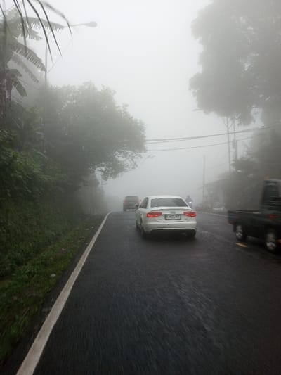 A foggy road with low visibility shows several vehicles. A white sedan, prominently displayed, follows a dark SUV in the distance. A black truck passes on the right. Green foliage lines the left side of the road, contrasting with the wet, dark asphalt. Utility poles and trees are obscured by the thick fog, contributing to the hazy and muted atmosphere. The scene conveys a sense of muted motion in adverse weather conditions.