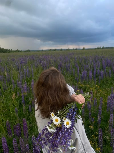 A person with medium-length brown hair stands in a field of purple lupines. They are wearing a light-colored shirt and are holding a bouquet of lupines and daisies. The sky is overcast and dark, with some rain visible in the distance. The location is a field in Kuyeda, Russia.