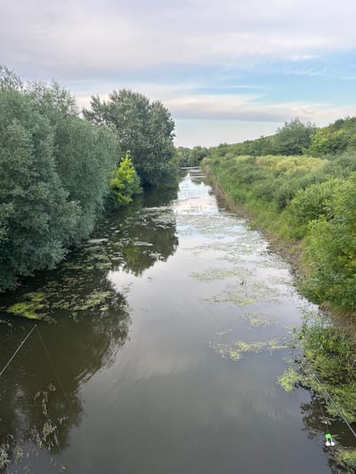 The image depicts a narrow canal bordered by dense green foliage on both sides. The water is dark and reflects the surrounding trees and sky, with patches of green algae floating on the surface. The sky above is overcast with light blue and white clouds. Fishing rods are visible in the foreground and right side of the image, with one rod having a green and white bobber attached. The overall scene suggests a tranquil, natural setting in the city of Veselinovo, Bulgaria.
