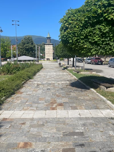 The image depicts a paved pedestrian walkway in the city of Berkovitsa, Bulgaria, leading towards a stone clock tower. The walkway is constructed with irregular grey and reddish-brown stone pavers, with a section of lighter-colored pavers in the foreground. To the left of the walkway, there is a manicured green hedge and a flower bed with some roses. In the background, a large white tent structure is visible, possibly for an event. Beyond that, trees and buildings can be seen, with a mountain range forming the backdrop under a clear blue sky. To the right of the walkway, there is a street with parked cars, including a red SUV and a silver sedan. Several well-maintained trees with dense green foliage line the street, casting shadows on the walkway. Wooden benches are placed along the walkway, providing seating areas. The overall scene suggests a pleasant, sunny day in a town square or public area.