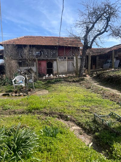 This image depicts a rural property located in the city of Topchii, Bulgaria, under clear daylight conditions.
The scene is dominated by a two-story residential structure positioned centrally in the mid-ground, featuring a gabled red tile roof. The upper level of this structure is characterized by an ornate wooden lattice facade, with some sections appearing boarded up or enclosed in a contrasting red hue. The lower level of the house has light-colored walls, with a red entry door visible on the left side and a plain wooden door to the right. A chain-link fence runs horizontally across the front of the lower house level.
To the right of the main house, a large, bare deciduous tree with a gnarled trunk stands prominently. Behind this tree, further to the right, is another single-story outbuilding with a red tile roof, appearing partially open-sided. Inside this outbuilding, a light blue car door and several wooden pallets are visible among other miscellaneous items.
In front of the main house, a group of approximately one dozen white ducks or geese are gathered on the ground near the chain-link fence.
The foreground consists of a grassy yard with patches of exposed soil and emerging green vegetation, indicative of early spring growth. A winding dirt path extends from the lower right corner towards the structures. In the left-midground of the yard, a white plastic armchair holds a blue plastic bottle. Adjacent to the armchair is a light-colored wooden stool, and nearby, a stack of red, curved roof tiles or similar ceramic objects. A green wire basket or crate is partially visible in the lower right foreground.
An overhead utility wire extends diagonally from the upper left towards the mid-right of the frame. The sky is largely clear and blue with scattered wisps of white clouds. No human subjects are visible in the scene.