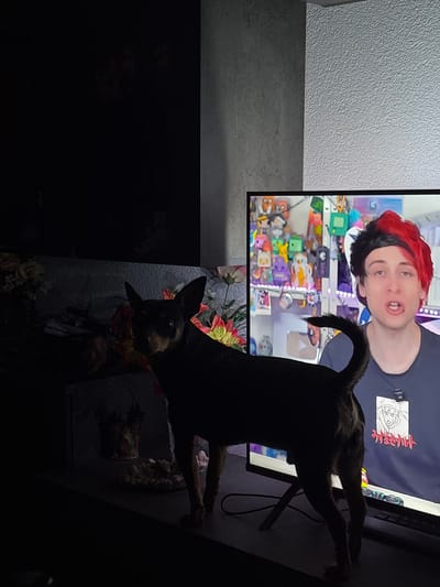 A dog stands in front of a television screen displaying a person with red hair. The location is unknown, and the scene is not identifiable as being in Kuklen, Bulgaria.