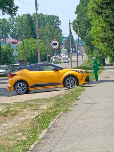 In Zalesovo, Russia, a bright yellow Toyota C-HR with a black roof is parked on a dirt shoulder next to an asphalt road. An elderly woman, dressed in a vibrant green suit and white shoes, stands on the sidewalk to the right of the car, facing it. She appears to be looking at or interacting with the vehicle. The scene is bordered by a grassy area with scattered dandelions on the left and more lush greenery, including trees and bushes, on the right. In the background, houses with red and green roofs are visible, as well as power lines and a traffic sign indicating a truck restriction. The sky is clear and bright.