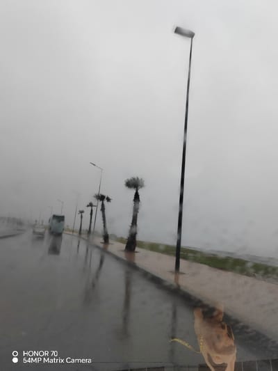 A rainy day scene shows a wet road reflecting the sky and surrounding features. Several palm trees and streetlights line the road alongside a sidewalk with green grass patches. A bus and a car are visible in the distance. The overall atmosphere is grey and overcast, with rain blurring the view. The image appears to be taken through a window, with droplets and a reflection of an object visible in the lower right corner.