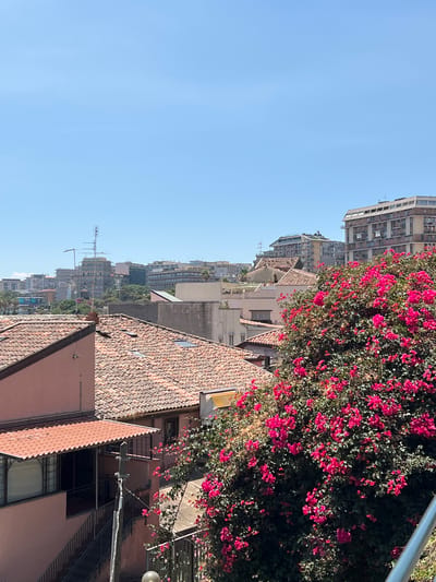 This is a vertical, medium shot of a cityscape with a clear blue sky and a vibrant pink bougainvillea bush in the foreground. The scene appears to be a residential area with a dense collection of buildings of varying heights and architectural styles.
In the immediate foreground, several buildings with terracotta tiled roofs are visible. To the right, the lush green foliage of the bougainvillea bush is laden with bright pink flowers, adding a burst of color to the scene. A metal railing is also visible at the top right.
Further back, the buildings form a dense urban landscape. Some appear to be older, multi-story apartment buildings with balconies and numerous windows, while others are more modern structures. Antennae and telecommunication towers are scattered amongst the buildings, indicating a developed urban environment. The overall impression is of a sunny day in a Mediterranean city, likely during daylight hours, given the clear sky and strong sunlight casting shadows.
There are no visible people or specific activities taking place. The focus is on the urban architecture and the natural element of the blooming bougainvillea. The location cues, such as the style of architecture and tiled roofs, are consistent with a Mediterranean setting, specifically Catania, Italy, as indicated by the provided context. The image evokes a sense of everyday urban life bathed in sunlight.