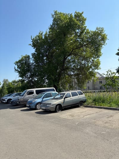 A daytime, eye-level, outdoor, medium shot captures a line of parked cars in a lot. The cars are parked on an asphalt lot with a curb and a grassy area beyond. A tall, leafy tree dominates the background, with its branches reaching towards a clear blue sky. Behind the tree, a building with several windows is visible. The cars, from left to right, include a white SUV, a dark gray sedan, a silver minivan, a light blue hatchback, and a silver station wagon. The station wagon in the foreground has a flat tire on the left rear side. The scene appears to be in an urban environment, possibly in Kemerovo, Russia, given the appearance of the cars and the building. There are no people visible in the frame.