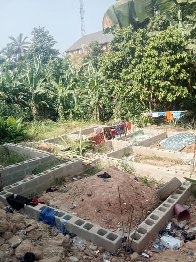 The image captures an active construction site within a lush, tropical environment, specifically identified as Akpaka Forest Reserve, Nigeria. In the foreground, freshly laid building foundations constructed from hollow concrete blocks mark out the footprint of a future structure. Piles of reddish-brown earth are scattered within these foundations and around the site, indicating recent excavation. Rebar protrudes from some foundation points. Scattered debris, including pieces of rock, plastic waste, a discarded tire, and a pink bucket, litter the ground around the concrete blocks.
Despite the construction activity, a domestic scene unfolds concurrently: several lines of colorful laundry, including shirts, trousers, and patterned fabrics, are strung up to dry across the middle section of the construction area. The clothes are hung between wooden poles or rebar.
The background is dominated by dense, vibrant green foliage, including numerous large banana trees with their characteristic broad leaves, and other leafy trees. Partially obscured by the trees in the distance, a multi-story building with a dark-tiled roof is visible, along with a tall metallic cellular tower, suggesting the proximity of established infrastructure beyond the immediate reserve.
The scene is bathed in bright daylight, indicating a clear, sunny day. No people are visible. No explicit text is discernible in the image. The overall impression is one of development taking place amidst a natural, somewhat untamed setting, with everyday life continuing alongside construction.