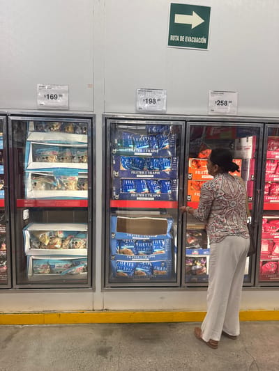 This image depicts the interior of a retail warehouse club or supermarket in Acapulco, Mexico. The scene is dominated by a row of industrial-sized glass-door freezer units against a plain white wall.
Above the freezers, three price signs are visible: the leftmost indicates "DISNEY" products for "$169.00", the middle sign shows "MEMBERS MARK" products for "$198.00", and the rightmost displays "MEMBERS MARK" products for "$258.00". A green sign with a white arrow pointing right and the text "RUTA DE EVACUACIÓN" (Evacuation Route) is mounted on the wall above the central freezers.
From left to right, the freezer units contain various frozen goods. The first unit displays packages with Disney branding (Mickey Mouse), likely frozen food items, stacked in cardboard trays. The second unit contains multiple blue packages labeled "FILETES DE TILAPIA CONGELADOS" (Frozen Tilapia Fillets), with "MEMBERS MARK" branding, stacked neatly. The third unit holds orange packages, some partially visible and labeled "FILETES EMPANI" (likely "Filetes Empanizados" - Breaded Fillets), also under the "MEMBERS MARK" brand. The fourth unit shows red packages labeled "LOMOS" (Loins).
In front of the third freezer unit, a female individual is observed from behind, reaching with her right hand towards the freezer door handle, suggesting she is opening or holding the door. She wears a patterned long-sleeved blouse with a white background and red, blue, and black paisley-like designs. Her lower attire consists of wide-leg, light-colored (possibly white or off-white) trousers. On her feet are brown, woven-style flat sandals. A dark shoulder bag is visible on her left side. The floor is grey concrete, and a yellow painted curb runs along the base of the freezer units.