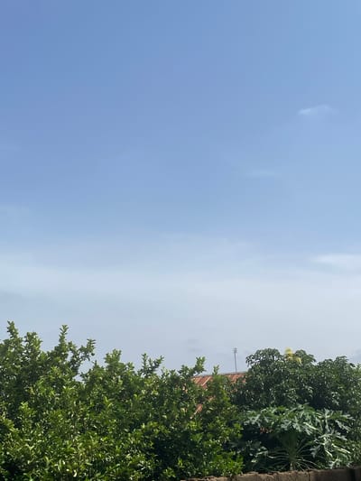 The image shows a bright, clear sky above a dense canopy of green trees. The trees are lush and full of leaves, with some bearing small, green fruits, possibly limes. In the background, partially obscured by the trees, is the reddish-brown, corrugated metal roof of a building. A small antenna is visible on top of the roof. The lower portion of the image shows a dark, rough-textured wall, possibly made of brick or concrete. There are no people or animals visible in the scene. The overall impression is one of a sunny day in a tropical or subtropical environment, likely an outdoor area in a residential or garden setting. The location is identified as Kakau, Nigeria.