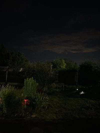 The image depicts a garden at night in Забалоцкі сельскі Савет, Belarus. The sky is dark with some clouds visible. In the foreground, there is a garden bed with various plants and two illuminated garden lights. One light is red and shaped like a flower, and the other is a small white light on the ground. Behind the garden bed, there is a wooden fence, and further back, dense trees and bushes create a dark background. A small greenhouse is partially visible behind the fence on the left side of the image. The overall scene is dimly lit by the garden lights and ambient light from the sky.