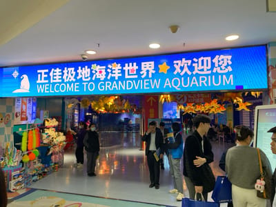 This indoor photograph captures the brightly lit entrance of the Grandview Aquarium, located in Guangzhou, China. A large, blue LED display sign dominates the top of the frame, featuring the Chinese text "正佳极地海洋世界★欢迎您" (Grandview Polar Ocean World ★ Welcome), with "WELCOME TO GRANDVIEW AQUARIUM" prominently displayed in English beneath it. The sign also includes a graphic of a penguin and star motifs.

Beneath the main sign, golden fish-shaped decorations are suspended, leading into the aquarium's main entry point. On the left side of the image, a retail display area showcases a variety of colorful toys and merchandise, including plush items and novelty goods. Several people are visible throughout the scene, indicating an active public space. Two individuals, one wearing a face mask, stand near the merchandise section. Towards the center, a man in a dark jacket carries a shopping bag with "URBAN" printed on it, while other visitors are gathered on the right, with one person seemingly interacting with a digital information kiosk.

Smaller signs are also present: "免" (free/exempt) is visible near the merchandise, and signs indicating "VIP通道" (VIP Channel) and "检票" (Ticket Check) are seen closer to the entrance. The overall atmosphere suggests a normal operating day at a popular tourist attraction, with people either entering, browsing, or waiting to access the aquarium. The presence of face masks on some individuals suggests either health precautions or the timeframe of the photograph.
