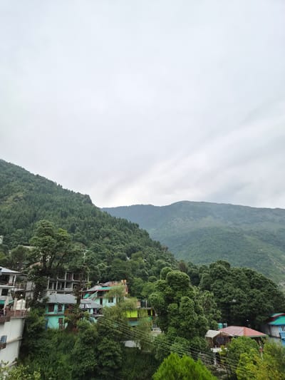 This image depicts a view of Bhagsu, India, characterized by a lush, green mountainside populated with dense trees and a scattering of multi-story buildings. The sky is overcast with gray clouds. In the foreground, several buildings, painted in shades of white, turquoise, and green, are nestled amongst the trees. Some of these structures feature balconies and visible windows. Further up the slope, more buildings are visible, interspersed with the dense forestation. The background is dominated by rolling hills covered in thick green foliage, indicative of a mountainous region. The overall scene conveys a sense of a hillside village within a heavily wooded mountainous environment.