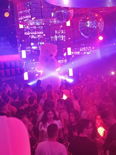 This image captures the interior of a nightclub or entertainment venue in Pamporovo, Bulgaria, illuminated predominantly with purple and pink lighting. A dense crowd of numerous individuals, primarily young adults, occupies the lower and central portions of the frame, standing in close proximity. In the background, a large, upright, illuminated white teddy bear figure is prominently displayed against a wall composed of square, reflective or LED panels that cast numerous small light reflections. Two mirrored disco balls are suspended from the ceiling above the teddy bear. A strong, singular beam of light traverses the scene horizontally across the upper midground. The word "money" is partially visible on a darker, structured surface in the lower left background. The individuals in the crowd appear to be standing and mingling, with no specific actions or interactions clearly discernible due to the crowd density and lighting conditions.