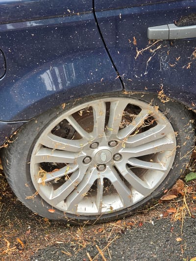 The image shows a close-up view of a flat tire on a dark blue vehicle. The vehicle is parked on a wet asphalt surface, likely a street or parking lot, with a significant amount of dry grass and leaves scattered around the tire and on the car's body. The car appears dirty, with numerous small particles speckled across its surface, particularly on the rear door panel and fender. A silver alloy wheel with a Land Rover emblem is visible, partially obscured by the grass and leaves. The tire itself is deflated, resting flat on the ground. The background includes a portion of the car's rear door and door handle, which are also dusty and have debris clinging to them. The scene suggests the vehicle has been stationary for some time in an outdoor, possibly overgrown or neglected, area. There are no people visible in the image. The location is identified as Ginsheim-Gustavsburg, Germany.