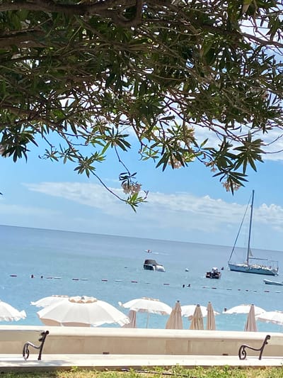 An outdoor scene depicts a view of the Adriatic Sea in Petrovac centar, Montenegro, framed by branches of a tree with green leaves and small white flowers. The sea is a calm blue, dotted with a few boats and buoys. In the foreground, several white beach umbrellas are either open or folded, arranged along a light-colored wall. A decorative metal bench is visible in the lower left corner. The sky is a clear blue with scattered white clouds.
