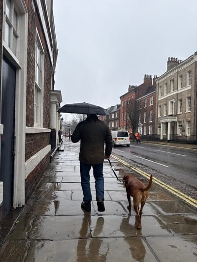 The image depicts a rainy daytime scene on Bootham, York, United Kingdom. An adult male, seen from behind, walks left-to-right on a wet grey flagstone pavement, holding an open black umbrella in his left hand and a black dog leash in his right. He wears a dark green/khaki jacket, blue jeans, and dark shoes. A medium-sized, reddish-brown short-haired dog, possibly a Labrador, walks on the leash slightly ahead and to the right of the man, its tail raised.
To the immediate left, a dark brick building with white window frames and a dark blue/black door runs parallel to the pavement. A white stripe is visible along the building's base. The pavement surface is reflective due to moisture.
Adjacent to the pavement is a wet asphalt road, marked with double yellow lines near the curb. A white van, facing away from the camera, is either parked or slowly moving in the midground on the right side of the road. Further down the road, a cyclist in bright orange attire is visible. On the opposite side of the street, a row of traditional British terraced buildings with varying brick hues (red, light brown) and multiple chimneys extends into the background. One prominent building on the right features a lighter facade with classical columns and a sign that appears to read "HOTEL." Bare trees are interspersed among the buildings. The sky is uniformly overcast and grey.