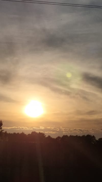 The image shows a sunset over a treeline. The sun is a bright, glowing orb in the sky, casting a warm, golden light. Wispy clouds are scattered across the sky, tinged with pink and orange. The treeline is silhouetted against the sky, with dark, dense foliage. There are power lines visible at the top of the image. The foreground is dark, suggesting it is a field or open area. The scene is serene and peaceful, with the natural beauty of the sunset dominating the frame. The location is identified as Vysokoe, Russia.