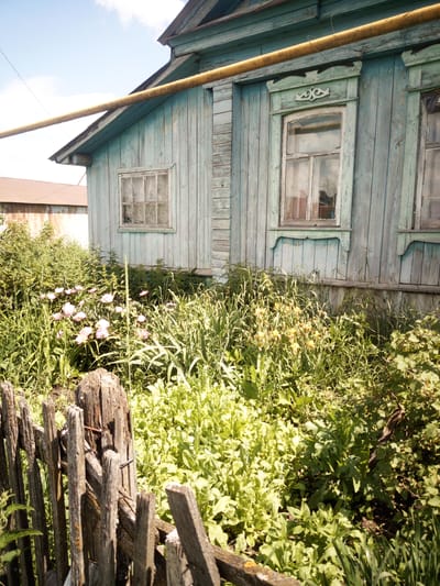 The image depicts a weathered, light blue wooden house with a sloped roof. Two windows are visible on the facade, one with a white curtain. In front of the house, a lush, overgrown garden with various green plants and scattered pink and yellow flowers is growing. A rustic, dilapidated wooden fence made of vertical planks and posts stands in the foreground, partially obscured by the garden foliage. The sky above is partly cloudy. The scene appears to be set in a rural or suburban area, possibly Alexandrovka, Russia, given the traditional Russian architectural style of the house and the presence of a garden with wildflowers. No people are present in the image, and no specific actions are taking place. The overall impression is one of a neglected yet vibrant natural setting adjacent to an old dwelling.