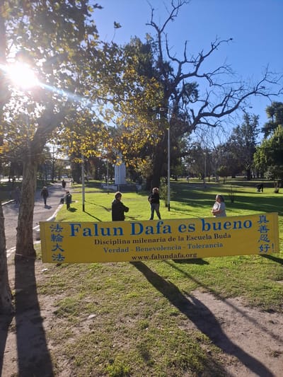 This image depicts a sunny outdoor scene in a park in Villa Domínico, Argentina, likely centered around a Falun Dafa informational or practice event. A large, yellow banner is prominently displayed in the midground, featuring text in both Spanish and Chinese. The Spanish text on the banner reads "Falun Dafa es bueno," followed by "Disciplina milenaria de la Escuela Buda," "Verdad - Benevolencia - Tolerancia," and the website "www.falundafa.org". Above the Spanish text, Chinese characters spell "真善忍好" (Truthfulness-Compassion-Forbearance is good), and below, "法輪大法" (Falun Dafa).
Several people are visible within the park. Some individuals appear to be standing or seated in postures consistent with meditation or gentle exercises, scattered across the grassy areas and near a dirt path. The setting is a well-maintained park with lush green grass and numerous trees, some with dense green leaves and others with bare branches reaching into the clear blue sky. Bright sunshine streams from the left side of the frame, creating a strong sun flare and casting long shadows across the ground, suggesting it is either early morning or late afternoon. Light poles are also visible in the background, indicating an urban or suburban park environment. The overall mood conveyed is one of peace and tranquility.