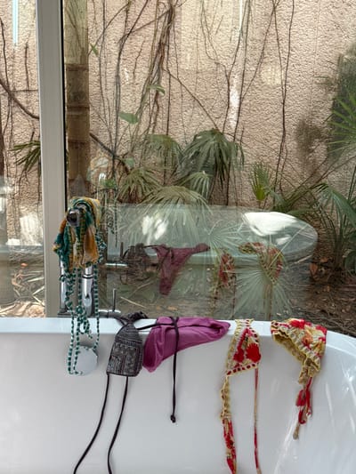The image depicts an interior view of a bathroom in Punta del Burro, Mexico, looking out through a large glass panel into a private tropical garden. In the foreground, a white bathtub is visible. Draped over a chrome faucet mounted on the tub's edge is a multi-colored fabric item, primarily green, yellow, and orange, with long beaded strands and a small, round, reflective disc attached. Four additional pieces of fabric, consistent with swimwear, are draped over the right edge of the bathtub. From left to right, these include a dark, patterned bikini top, a solid magenta bikini bottom, and two red and yellow patterned bikini tops, one of which appears to be crocheted.

Outside the glass, a dense arrangement of tropical foliage is present. Large palm-like plants with fanned leaves dominate the midground. A light-colored, textured wall, possibly stucco, forms the background and is extensively covered with intertwining vines and roots. A thick tree trunk stands near the left side of the exterior view. Reflections on the glass panel show a dark, maroon piece of fabric, likely swimwear, draped over what appears to be an outdoor stone or concrete bathtub or basin nestled within the greenery. The scene indicates items are drying within a domestic or resort setting with an integrated natural environment.