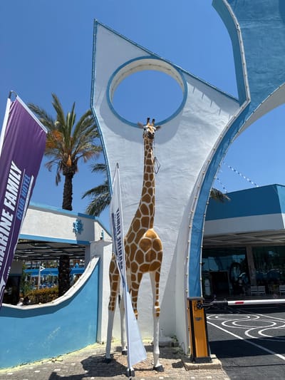 A giraffe statue stands in front of an arched gateway at the entrance to the "Marine Family Club Hotel" in Manavgat, Turkey. The gateway is predominantly white with blue trim and features a large circular opening at the top. The giraffe, rendered in its natural brown and orange spotted pattern, is positioned centrally within the frame, partially obscuring the gateway's circular opening. To the left of the statue, a tall, purple banner with white text that reads "MARINE FAMILY CLUB HOTEL" is visible, along with a palm tree behind it. Another white banner, with text also in white, is positioned to the right of the giraffe. In the background, the hotel building is visible, characterized by its blue and white facade and large glass doors. A red and white barrier arm is lowered across the entrance, indicating a controlled access point. The scene is bathed in bright sunlight under a clear blue sky, suggesting it is daytime. The ground is paved with cobblestones.