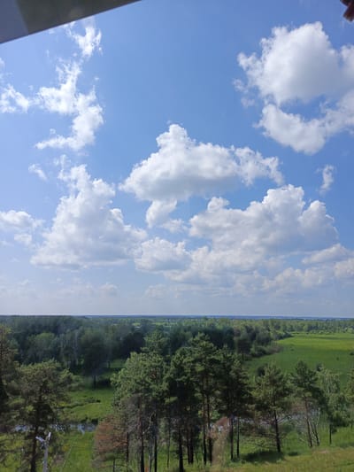 A high-angle, full-frame, eye-level shot captures a panoramic view of a verdant landscape under a vast, blue sky dotted with fluffy white cumulus clouds. The foreground features the upper portion of a dark structure, possibly a roof or balcony railing, intruding from the top edge. The middle ground is dominated by a dense forest of green coniferous and deciduous trees, with a winding body of water, likely a river or stream, snaking through the lower left portion of the scene. Further back, a wide expanse of bright green meadow stretches out, bordered by a distant, tree-lined horizon. The overall impression is one of a natural, undeveloped area.