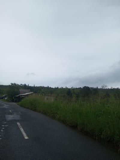 The scene is situated in Babaliya Mal., India, under an overcast, grey sky. A dark asphalt road, displaying faded white dashed lane markings and scattered wet patches, occupies the foreground, curving gently to the right. A dense strip of tall green grass borders the right edge of the road, extending into the midground. On the left, set back from the road, stands a single-story building with a light-colored facade and a dark, steeply pitched roof. To its immediate left, a partially obscured lean-to structure is visible, beneath which the front wheel of a motorcycle or scooter is discernible. The background consists of rolling hills extensively covered in lush green trees and dense foliage. No individuals or overt actions are present in the frame.