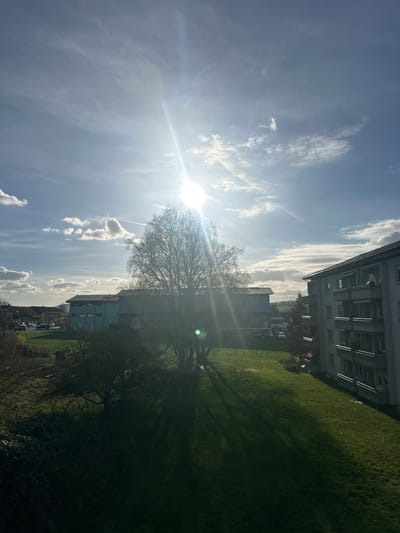 The image captures an outdoor urban/suburban scene in Höri, Switzerland, under bright, direct sunlight, likely late afternoon or early morning. The sky is predominantly clear blue with scattered white, wispy clouds; a faint contrail is visible in the upper-left quadrant. The sun, a prominent bright light source, is positioned in the upper-middle-left of the frame, generating significant lens flare and long, radial light rays.
In the mid-ground, a large, deciduous tree with bare branches stands centrally, silhouetted against the sun. Its elongated, dark shadows stretch across a sloping, green grassy area towards the foreground. To the immediate left of the central tree, smaller, darker foliage is present.
To the left, behind the central tree, a multi-story light blue-green building with numerous windows is visible. A road with several parked vehicles (cars) runs horizontally in front of this building. To the right, a multi-story light-colored apartment building occupies a significant portion of the frame, featuring multiple balconies with visible railings and at least one satellite dish.
The foreground consists of dark, indistinct foliage on the far left and the verdant, partially shadowed grassy lawn extending from the mid-ground. No individuals are visible, and no discernible actions or interactions are occurring. The distant background beyond the buildings reveals rolling terrain under the partly cloudy sky.