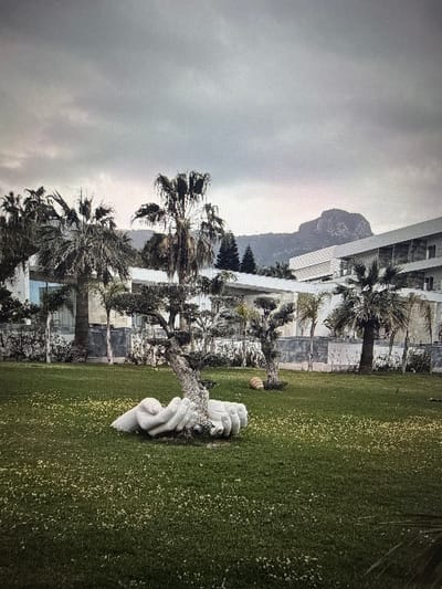 The image depicts a serene outdoor scene, likely in Eyüpsultan, Turkey, under a cloudy sky, suggesting either early morning or late afternoon. The foreground is dominated by a lush green lawn dotted with small yellow flowers, hinting at a pleasant spring or summer day. To the right of the lawn, a modern building with clean lines and large glass windows stands prominently, surrounded by palm trees and other vegetation.
A striking art installation of two abstract, white stone hands reaching towards each other from opposite sides of a tree is the focal point of the scene. The hands are smooth and elegantly curved, creating a sense of connection and perhaps contemplation. The tree itself appears somewhat slender, its leaves rendered in a slightly blurred fashion due to the angle of the photograph.
In the background, a majestic, rocky mountain looms, its form softened by the overcast weather. The overall atmosphere is peaceful and contemplative, with the natural beauty of the landscape complemented by the artistic human element. The cloudy sky contributes to a diffused, soft lighting across the scene, and the image's orientation is on its side.