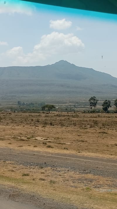 The image depicts a vast, semi-arid landscape within the Hells Gate ward, Kenya, under a clear, bright sky. The scene is viewed from a low vantage point, with a turquoise-tinted strip (likely a vehicle's windshield or visor) visible across the top.
In the foreground, a two-track unpaved road, composed of compacted dirt and gravel, runs horizontally across the bottom third of the frame. The immediate surrounding ground is covered in dry, yellowish-brown grass, sparse low-lying scrub, and patches of bare, light-brown earth and small stones.
The midground expands into a wide, dry plain. A solitary, mature acacia-like tree with a distinctive flat-topped canopy stands on the left side of this plain. To its right, a cluster of three taller, slender trees with lighter trunks and denser green foliage are visible. Further in the mid-distance, faint outlines of low-lying structures, including what appears to be a light-colored building, are discernible amidst scattered green vegetation, suggesting human presence or a small settlement.
The background is dominated by a large, extensive mountain range or elevated plateau, presenting a uniform muted grey-green color, indicative of sparse vegetation or volcanic rock formations. A prominent peak rises towards the center-left of this range. The sky above is a light blue with several scattered white cumulus clouds. A faint, thin, dark vertical streak is present in the upper right portion of the sky. No people or animals are visible in the scene.