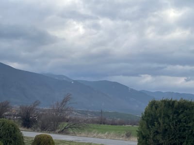The image depicts a rural landscape near Krainitsi, Bulgaria, under an overcast sky. A prominent mountain range, partially covered with patches of snow on its upper slopes, spans the background. In the midground, a two-lane asphalt road traverses horizontally from left to right. Adjacent to the road, on both sides, are fields of green vegetation or crops. Several bare deciduous trees with thin, bent branches are scattered along the road and within the fields. A power line pylon is visible in the left midground, slightly above the field line. The foreground features dark green, manicured evergreen bushes and shrubs, with a rounded shrub on the lower-left and a larger evergreen mass on the right, partially framing the central view. No individuals, animals, or vehicles are present.