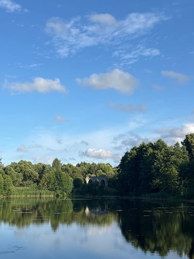 A serene landscape scene unfolds with a calm body of water in the foreground, reflecting the clear blue sky dotted with wispy white clouds. The water's surface is disturbed by scattered lily pads. Beyond the water, a dense line of lush green trees forms a natural border, with reeds growing along the near edge of the water. In the distance, nestled within the trees, are the ruins of an old stone structure, featuring arched openings. The sky occupies the upper portion of the frame, with the horizon line of trees and ruins situated in the lower half. The overall atmosphere is tranquil and natural. This scene is located near the palace and park complex in Muromtsevo, Russia.