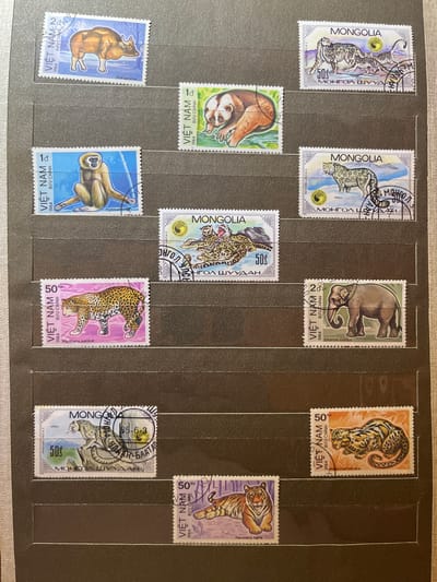 This is a close-up, eye-level, indoor photograph of a stamp album page filled with postage stamps depicting animals. The page is dark gray with horizontal slots for holding the stamps. The lighting is even, and there are no visible shadows. The album page is placed on a neutral gray background.
The stamps themselves are colorful and varied:
* **Top Row (left to right):**
* A stamp from Vietnam (VIỆT NAM) with a brown, horned animal, likely a wild ox, with "Bos gaurus" printed below. It has a denomination of 2đ.
* A stamp from Vietnam (VIỆT NAM) featuring a small, wide-eyed primate with orange and white fur, identified as "Nycticebus coucang". It has a denomination of 1đ.
* A stamp from Mongolia with a snow leopard and its cubs. It has a denomination of 50 mongol shuuh.
* **Middle Row (left to right):**
* A stamp from Vietnam (VIỆT NAM) depicting a gibbon sitting. It is identified as "Hylobates sp." and has a denomination of 1đ.
* A stamp from Mongolia with two leopards in a tree. It has a denomination of 50 mongol shuuh.
* A stamp from Vietnam (VIỆT NAM) showing an elephant. It is identified as "Elephas indicus" and has a denomination of 2đ.
* **Bottom Row (left to right):**
* A stamp from Mongolia with a snow leopard perched on a rock. It has a denomination of 50 mongol shuuh.
* A stamp from Vietnam (VIỆT NAM) featuring a leopard. It is identified as "Panthera pardus" and has a denomination of 50 xu.
* A stamp from Vietnam (VIỆT NAM) with a tiger. It is identified as "Felis marmorata" and has a denomination of 50 xu.
* A stamp from Vietnam (VIỆT NAM) with a tiger, identified as "Panthera tigris", with a denomination of 50 xu.
The photograph does not contain any information or visual elements that would suggest a location in Kramatorsk, Ukraine, or any specific city.