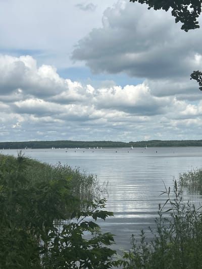 The image depicts a wide, calm lake with numerous sailboats scattered across its surface. A dense, dark green treeline borders the far side of the lake, suggesting a natural or park-like setting. The foreground is filled with lush, green foliage, including tall reeds and leafy branches, partially obscuring the view of the water. The sky is overcast with large, dramatic clouds, interspersed with patches of lighter blue. The water reflects the light from the sky, creating shimmering horizontal lines. The scene is likely a recreational area within the Азёрскі сельскі Савет, Belarus, given the presence of the lake and sailboats. No people are explicitly visible in the image.