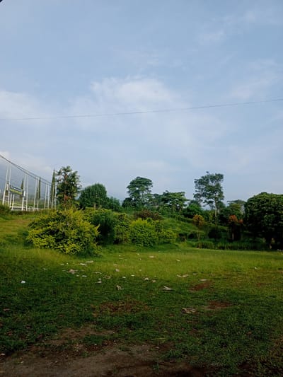The image shows a grassy field in Kudawa, Sri Lanka, with various trees and bushes growing on a small hill. A white fence borders the left side of the image, with some structures behind it and a sign that says "Wildlife rescue center". The sky is light blue with some scattered white clouds. The foreground shows dirt, grass, and scattered debris.