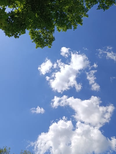 The image shows a bright blue sky with scattered white clouds. In the upper left corner, green leaves from a tree are visible, suggesting an outdoor environment. The lighting indicates it is daytime. The scene is devoid of any human presence or activity. This image was captured in the city of Razgrad, Bulgaria.