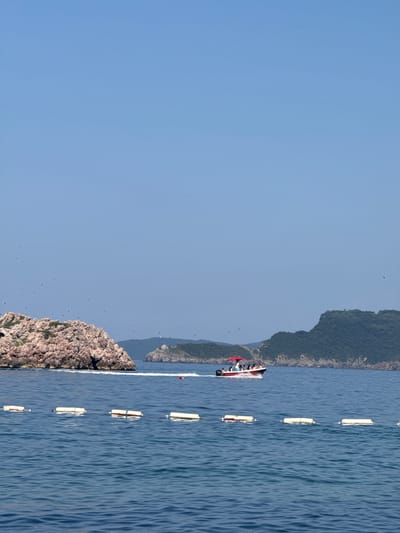 The image captures a bright, sunny day at sea, likely Kamenovo, Montenegro. The water is a deep, rich blue, showing gentle ripples and reflecting the clear sky. A small, motorboat with several people on board is moving across the water, leaving a visible wake. The boat appears to have a red canopy or trim.
Several white buoys, connected by a rope, are floating in a line in the water, suggesting a boundary or marker. In the background, a rugged, rocky island or coastline rises from the sea, covered in lush green vegetation. Another, larger, more distant mountain range can be seen further in the distance, partially shrouded in a light haze. The sky is a clear, pale blue, with a few dark specks that appear to be birds in flight. The overall impression is one of a peaceful, scenic day spent outdoors near the coast. The orientation of the image is rotated 90 degrees counterclockwise.