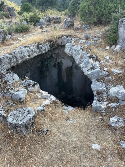 The image shows an ancient cistern or well entrance constructed of rough-hewn stones, partially overgrown with dry grass and low vegetation. The entrance is a dark, cavernous opening. Surrounding the opening are more scattered rocks and dry plants. In the background, a hillside is covered with trees and shrubs. The scene is set in a rural, possibly archaeological, outdoor environment.