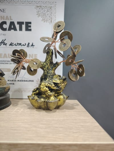 The media file displays a close-up shot of a decorative object, likely a feng shui money tree, positioned on a light-colored wooden surface. The money tree is crafted with a golden, textured trunk that resembles a tree stump, and it is adorned with numerous circular, metallic coins suspended from thin copper wires, mimicking leaves. The base of the tree is shaped like a lotus flower and also finished in gold. To the left of the money tree, partially visible, is another decorative item with a darker, possibly bronze, finish.
In the background, a certificate is visible. Text on the certificate, partially obscured, includes "NE", "NAL", "CATE", and what appears to be a signature followed by "MARIA-MAGDALENA ILOVA". There is also handwritten text that seems to be a name, "Hu konowa". The overall setting appears to be indoors, on a shelf or desk, with a plain gray wall as the backdrop. The lighting is neutral, suggesting it was taken during daylight hours without any specific emphasis on shadows or mood. The focus is primarily on the money tree and its intricate details.