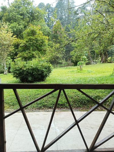 The image displays a verdant outdoor scene in Pachmarhi, India, observed from behind a dark brown wooden railing featuring a geometric pattern of intersecting diagonal bars. Below the railing, a light-colored tiled patio floor exhibits moisture. Beyond the railing lies a lush, green grassy lawn. A dense, spherical green bush is centrally located on the left side of the lawn. The background comprises a thick forest with various species of trees displaying abundant green foliage, extending upwards towards a hazy, light grey sky. No individuals or animals are visible.