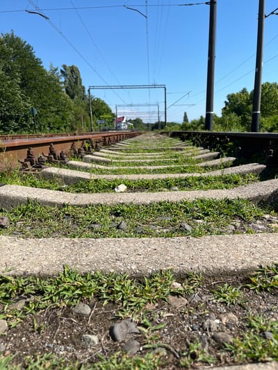 This media file depicts a close-up, low-angle view of a set of train tracks stretching into the distance. The perspective is along the side of the tracks, focusing on the concrete railway sleepers and the surrounding gravel and grass. The train tracks themselves are rusty and appear well-used.

In the foreground, the concrete sleepers are prominent, with a strip of green grass growing between them and in the gaps between the gravel. The gravel is mixed with dark soil and small stones. In the background, the train tracks continue, flanked by lush green trees on the left side. Overhead, a complex network of power lines and supporting structures for an overhead electrical system is visible against a clear blue sky. The sun appears to be high in the sky, suggesting it is daytime, likely mid-morning or afternoon.

Further in the distance, through the gaps in the trees and above the electrical infrastructure, a glimpse of what might be buildings or structures can be seen. The overall impression is one of an outdoor, functional setting related to a railway. The image is taken in Ureki, Georgia, though no specific landmarks to confirm this are visible in the frame. There is no activity or event explicitly depicted, and no people are visible. The scene is peaceful and natural, with the man-made elements of the railway integrated into the environment. No text is visible in the image.