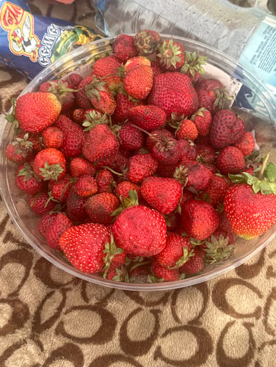 A close-up, overhead shot displays a clear plastic container brimming with ripe, red strawberries. The strawberries vary in size and some show minor blemishes, indicating they are fresh and possibly homemade. The container is placed on a patterned brown and beige blanket, suggesting an outdoor setting or a picnic. To the left of the strawberries, a portion of a blue bag with yellow and white graphics is visible. Text on the bag reads "CEME" and some other Cyrillic characters, possibly indicating a brand or product name. Additionally, a clear plastic bottle with a label featuring Cyrillic text is partially visible to the far left. The overall impression is one of abundance and freshness, perhaps captured during a summer harvest or a casual gathering. The lighting suggests it is daytime, but the specific time of day is not evident.