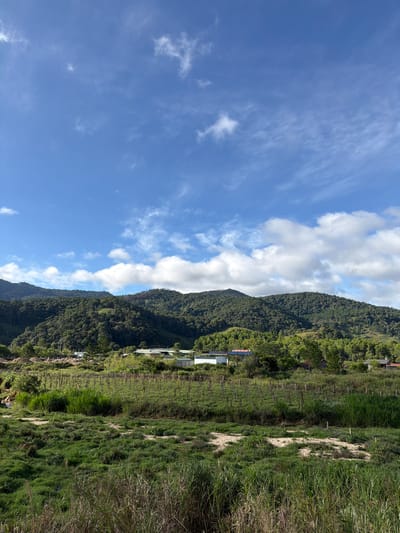 The image depicts a vast, lush green landscape with rolling hills covered in dense forest. In the foreground, there is a field with patches of dry earth and tall grass. A vineyard or farm with rows of wooden stakes stretches across the middle ground. Several buildings, appearing to be houses or small structures with white roofs, are nestled among the trees. The sky above is a vibrant blue, dotted with wispy white clouds. The scene appears to be a rural area, likely in Klong Klanh, Vietnam, characterized by its natural beauty and agricultural activity. There are no people or animals visible in the image.