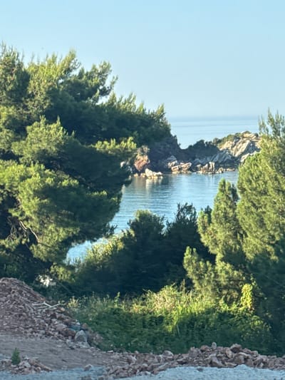 The image depicts a serene coastal landscape, likely in the vicinity of Sveti Stefan, Montenegro. In the foreground, a pile of rough, grey rocks and gravel suggests a construction or excavation site. Behind this, lush green foliage and pine trees dominate the mid-ground, with their branches forming a natural frame for the scene beyond.

The focal point is a calm, blue body of water, possibly the Adriatic Sea, nestled between rocky outcrops and a small, green peninsula. The water reflects the clear, pale blue sky. The rocky formations appear rugged and natural, with some evidence of vegetation clinging to their surfaces. The overall impression is one of natural beauty and tranquility, with a hint of human activity suggested by the foreground materials. There are no people visible in the image.