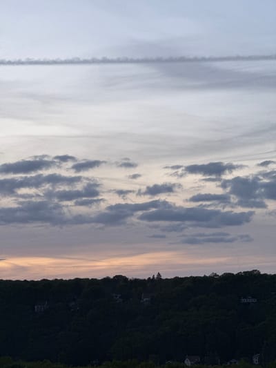 The image presents a serene twilight landscape, likely captured during sunset, over a forested area. The sky dominates the upper portion of the frame, showcasing a beautiful gradient of colors. On the left side, the sky transitions from a soft, pale blue-grey, featuring a distinct, long, thin, linear cloud or possibly a contrail. Moving towards the right and the horizon, the sky warms to gentle hues of pink, orange, and light yellow, illuminated by the setting sun. Scattered across the mid-sky are numerous darker grey clouds, appearing as fragmented, elongated formations, adding depth and texture.
Below the expansive sky, the lower section of the image is characterized by a dense, dark green forest covering a hillside. This tree line forms a prominent, almost black silhouette against the lighter sky, with the irregular contours of the treetops marking the horizon. Several small, white houses or buildings are sparsely visible within this dark forested expanse, subtly nestled among the trees, suggesting a quiet residential area integrated into the natural environment.
There is no discernible activity or specific event taking place, presenting a static and tranquil natural scene. The low light and the blended colors of the sky strongly indicate the time of day is either sunrise or, more likely, sunset. The landscape features and the presence of scattered houses within a natural setting are consistent with the location of Gometz-le-Châtel, France, implying a rural or semi-rural atmosphere. No text is visible in the image.