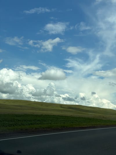 The image shows a vast, rolling green landscape under a bright blue sky with scattered white clouds. In the foreground, a section of dark asphalt road with a white line marking its edge is visible. Beyond the road, a dense, vibrant green field stretches horizontally. Behind this field, the land rises into gentle, undulating hills covered in shorter, lighter green grass. The sky above is a striking blue, with fluffy, cumulus clouds dominating the upper portion of the image, some appearing wispy and stretched, others more voluminous and shadowed. The overall impression is one of open, natural scenery. The location provided, Островное, Russia, suggests a rural or natural environment. There are no people or discernible man-made structures other than the road.