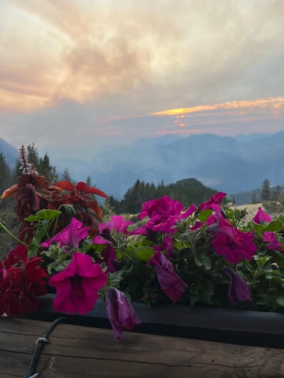 This image captures a close-up view of a flower box filled with vibrant pink petunias and dark red foliage, set against a backdrop of a smoky, hazy sunset over a mountain range. The flowers are in sharp focus in the foreground, with their petals catching the soft, warm light of the setting sun. Behind them, layers of mountains recede into the distance, softened by the atmospheric haze. The sky above is a canvas of pastel oranges, pinks, and yellows, with clouds suggesting the presence of wildfire smoke. The scene is framed by a rustic wooden railing in the lower portion of the image. There are no people or animals visible. The location is identified as San Juan de Plan, Spain.