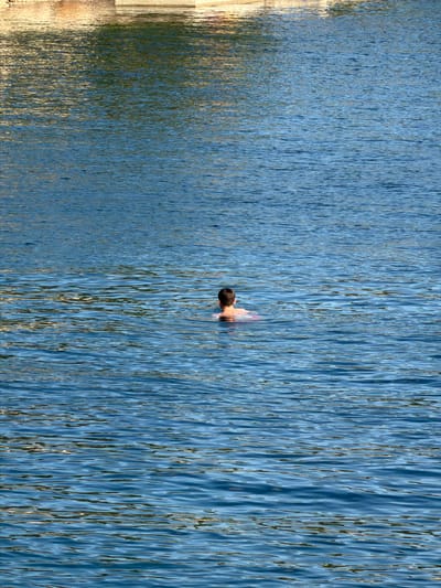 The image displays a high-angle shot looking down into a body of water, capturing a person swimming or floating. The predominant feature is the water's surface, which exhibits numerous tight, vertical ripples and reflections. These ripples create a textured blue expanse, interspersed with thin, elongated streaks of light and shadow, and occasional hints of golden-brown from reflected light.
Towards the right side of the frame, a person is partially submerged in the water. Only their head and upper back are visible above the surface. The person has dark hair and appears to be facing away from the viewer, looking towards the left side of the frame. The water is calm enough for their head to be clearly out of the water.
On the far left edge of the image, a narrow vertical strip of lighter, solid-looking material is visible, possibly representing a sun-drenched shore, bank, or concrete edge that meets the water. The reflections from this edge are also visible in the adjacent water.
The activity taking place is swimming or leisurely floating. The bright reflections on the water suggest it is daytime, likely a sunny day. No specific geographical landmarks or text are visible within the frame to identify the location, other than the provided context of Grad Rijeka, Croatia, suggesting a coastal or large body of water. The overall scene conveys a sense of tranquility and a warm, bright environment.