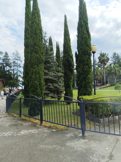 A group of people walk along a paved path beside a dark metal fence. The path curves to the left, and the people are seen walking away from the camera. The fence encloses a grassy area with several tall, dark green cypress trees and a younger evergreen tree. Beyond the fence, in the background, are palm trees and more evergreen trees. A lamppost with a decorative yellow light fixture stands to the right of the cypress trees. The sky is partly cloudy. The scene appears to be a park or garden area, potentially in the city of New Athos, Abkhazia, given the presence of tall cypress trees and palm trees which are common in the region.