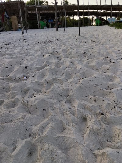 This image depicts a sandy outdoor area within Gombato Bongwe ward, Kenya. The foreground is dominated by light-colored, uneven sand with numerous small undulations and scattered dark organic debris. A small piece of white and orange-colored refuse is visible on the sand towards the lower-left.

In the midground and background, a rudimentary, open-sided structure with a thatched roof, supported by multiple slender wooden poles, is visible. Underneath this shelter, approximately five individuals are seated on green plastic chairs. One person on the left is standing or moving, wearing light-colored, patterned clothing. The other four are seated, with their specific actions not entirely discernible beyond sitting. One bicycle is partially visible near the standing person on the left. Clothing items appear to be hanging from the structure's framework on the far left. Behind the shelter, dense green foliage indicates the presence of vegetation, likely trees or shrubs. The lighting suggests either early morning or late afternoon.